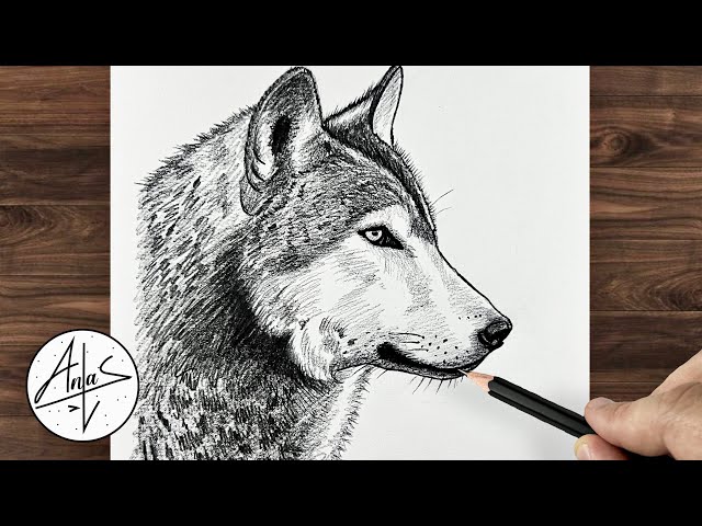 How To Draw A Wolf Face Realistic | Drawing Tutorial step by step