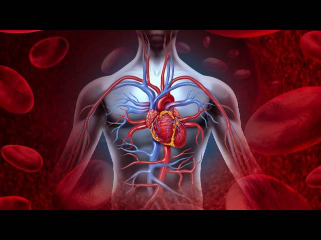 Blood Pressure Medications