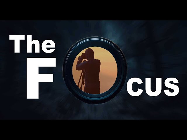 Elementor Animated ZOOM Effect On ScrollTrigger Like a Pro | No Code, No Plugin | Tips & Tricks