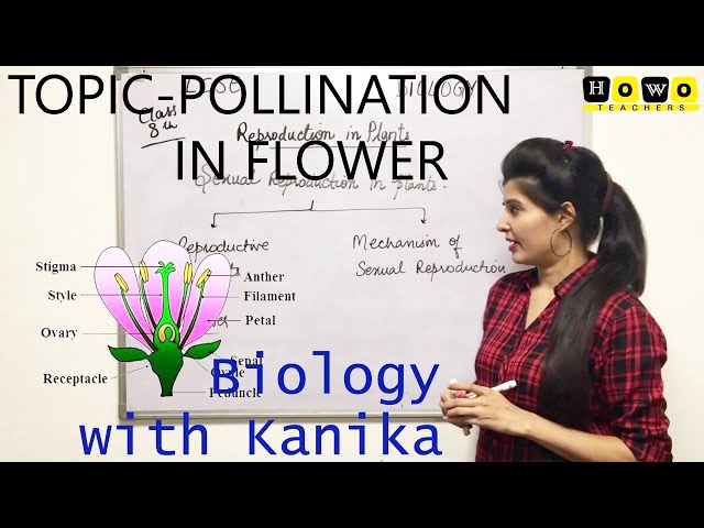 FLOWER | POLLINATION | FERTILIZATION | ICSE CBSE | BIOLOGY | HOWO | KANIKA CLASSES