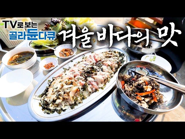 🐟찬바람 맞고 기름기 오른 쫀득한 회의 향연! 바닷바람 맞으며 먹는 넓적하게 썰어낸 고기의 맛🐟1시간 몰아보기｜한국기행｜#tv로보는골라듄다큐