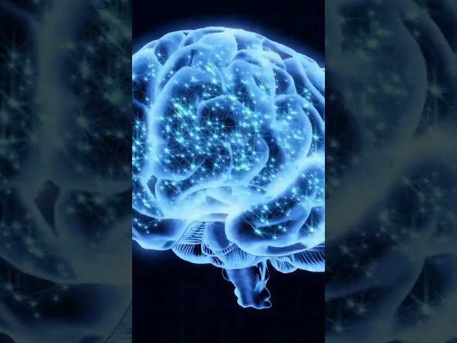 What is Random Forest Algorithm?