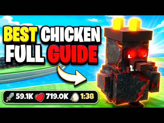 FULL GUIDE For THE BEST CHICKEN in Grow a Chicken Fighter! ROBLOX
