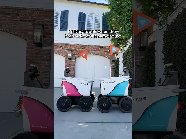 The Real Robots of Beverly Hills - The Address | Serve Robotics x Uber Eats