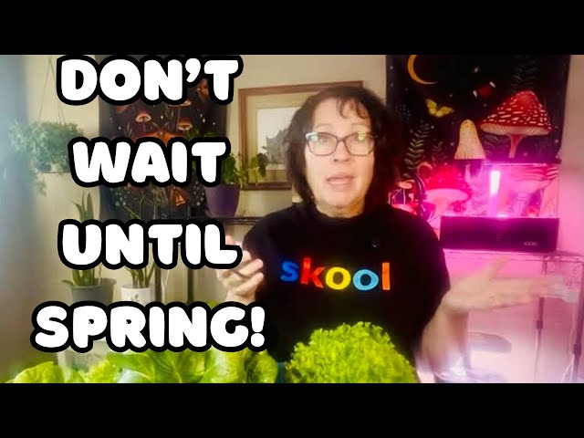 Best Time to Start is Now!  - Cold Climate Gardening for Beginners