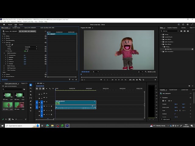Green Screen Test Process