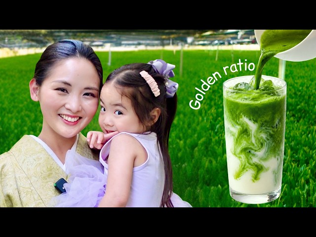 How to Make Perfect Matcha: The Golden Ratio by Ex-Geisha, Japanese Mom