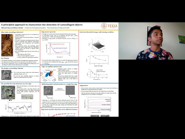 Understanding Camouflage Detection: VSS 2020