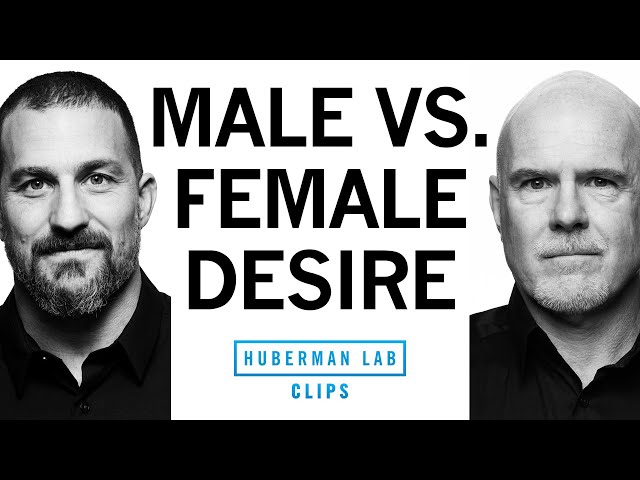 Why Men & Women Show Attraction Differently | Dr. Michael Platt & Dr. Andrew Huberman