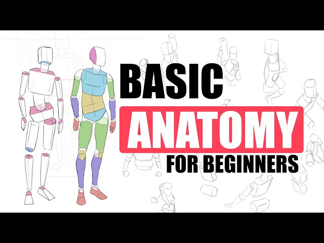 The First, EASY Step To Draw Bodies (For Beginners)