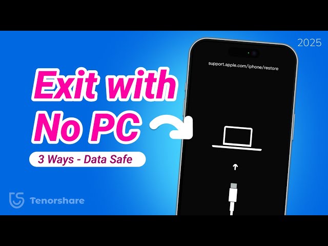 Fix support.apple.com/iphone/restore without Computer - 3 New Ways! | 2025
