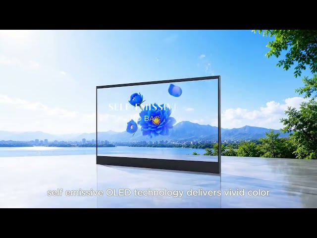 Litemax 55” Transparent OLED Display (TPD5500-L) | See Beyond the Display