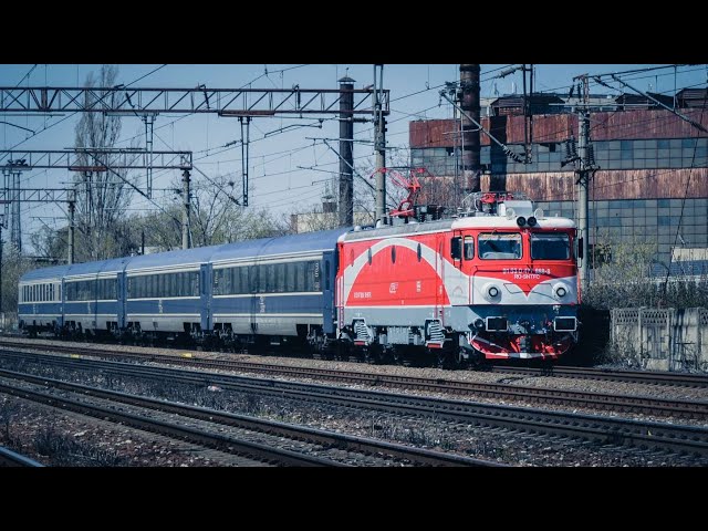 Locomotive Delfinul la Gara Basarab