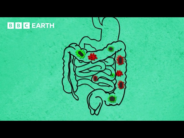 The Science of Food and Your Body | BBC Earth Science | BBC Studios