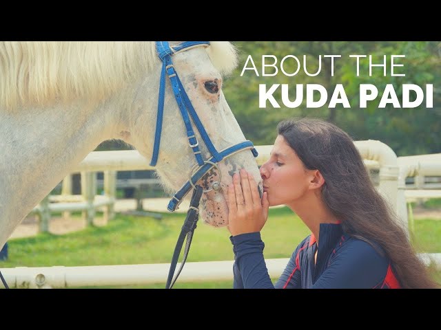 About the Kuda Padi