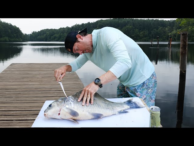 IS THIS FISH EDIBLE? Buffalo Catch Clean & Cook