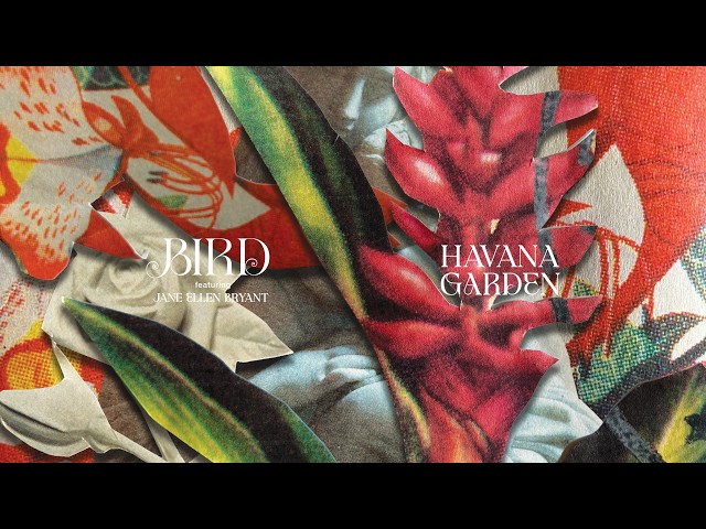 Bird - Havana Garden (Official Video)