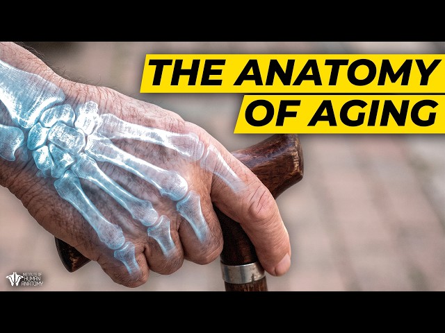 YOUR Body Is Aging Right Now... Can You Slow It Down?