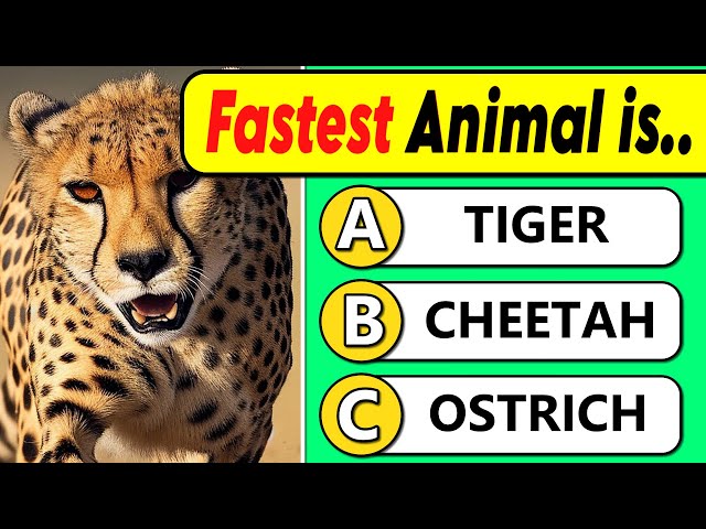 General Knowledge Quiz | Animal Edition 🐾 🐒 🐶