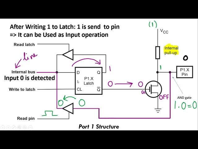 Structure of Ports in 8051 Microcontroller (ECT206 Module 2) (in Malayalam-English)