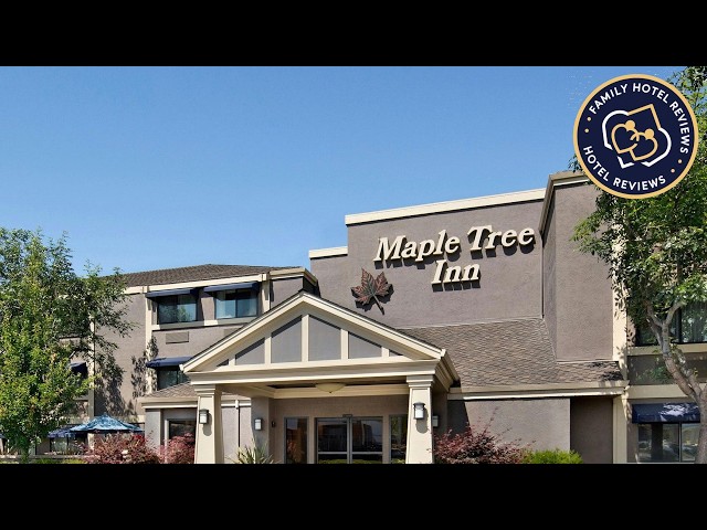 Maple Tree Inn Hotel | San Jose (CA), United States | Hotel Review 🌟