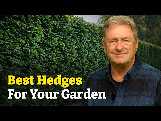 Garden Hedges: Add Privacy, Reduce Noise & Attract Wildlife!