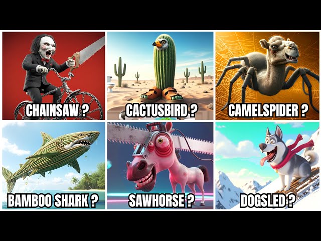 30+ Top Literal vs Real Meaning of English Compound Words😎😁