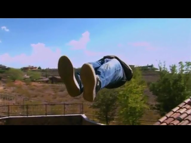 Top 15 Fly