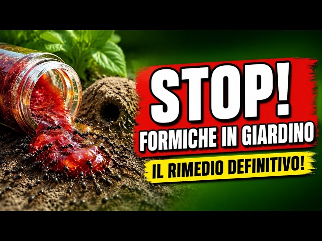 How to Get Rid of Ants in the Garden Permanently 🐜 (The Secret with Jam and Borax!)