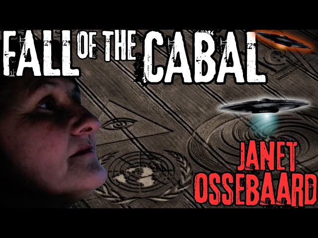 The Disappearance of Janet Ossebaard
