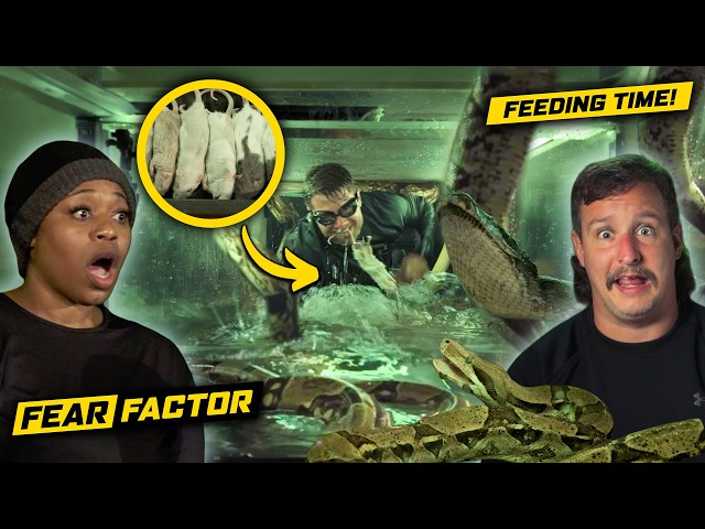 🐍🍽️ Crawl Through HUNGRY SNAKES with their DINNER in YOUR MOUTH!? 🐀😱🤢 | Fear Factor: House of Fear