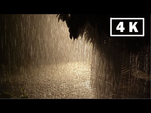 Fall Asleep with Torrential Rain and Thunderstorm Sounds - Heavy Rain Sounds for Sleeping, Relaxing