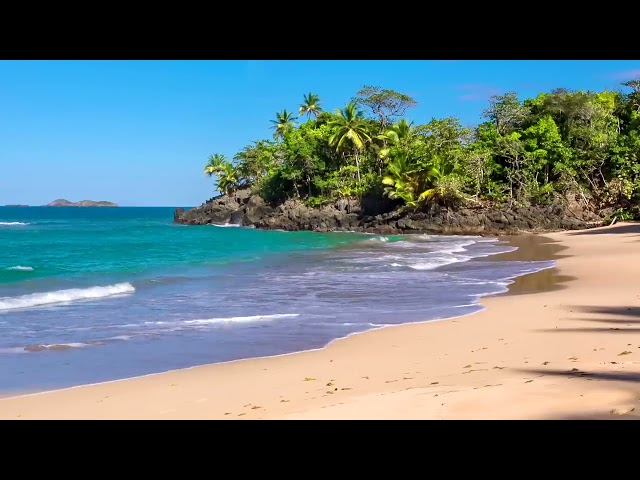 Waves of Paradise - Beautiful Beach with Relaxing Ocean Sounds without Music