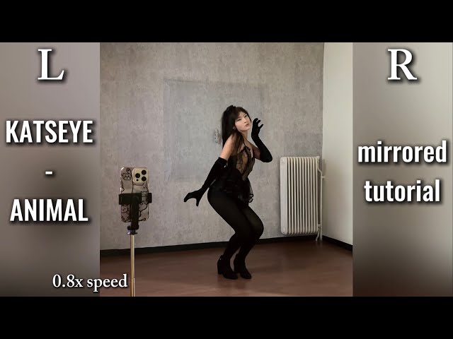 KATSEYE - ANIMAL Dance Tutorial (Horizontal ver.)