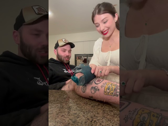 Waxing the SpongeBob leg