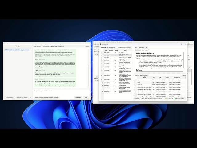 DSI Studio AI Agent Integration - Codex