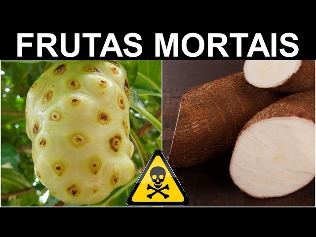 The 20 Most Dangerous Fruits in the World! Beware, they are deadly! 4K