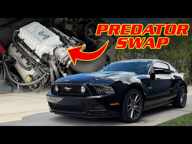 Predator Swap Tips PLUS a VERY special 2014 Mustang GT!  ||  Tech Tips