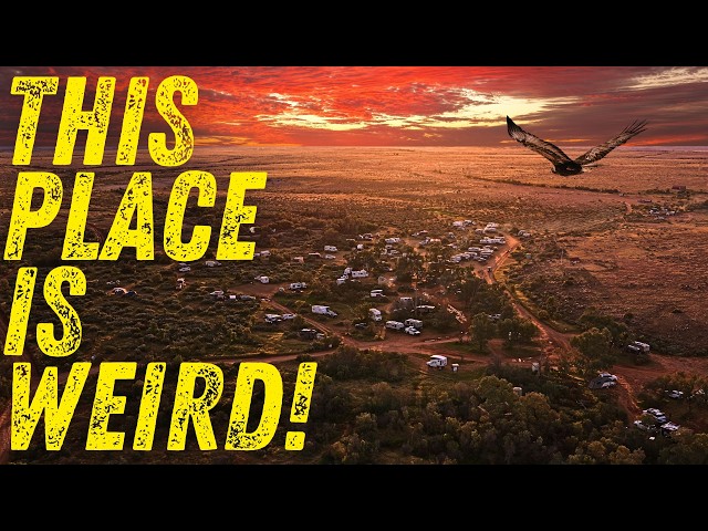 The Treats You Don’t Expect in the Middle of Nowhere