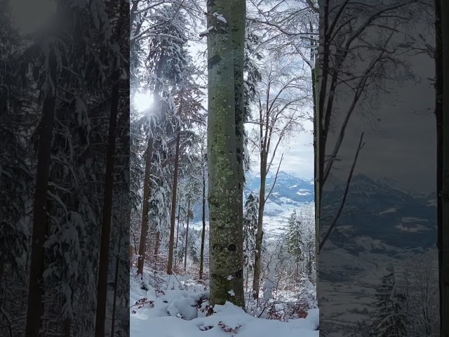 Preview: Swiss Winter Hike