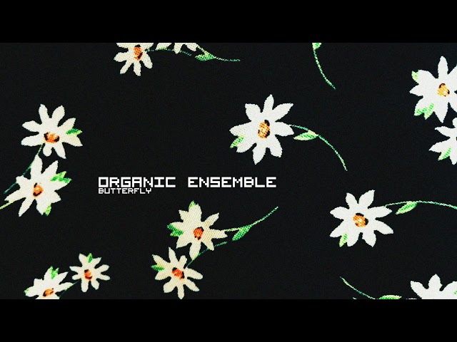 Organic Ensemble & Suolo - Butterfly