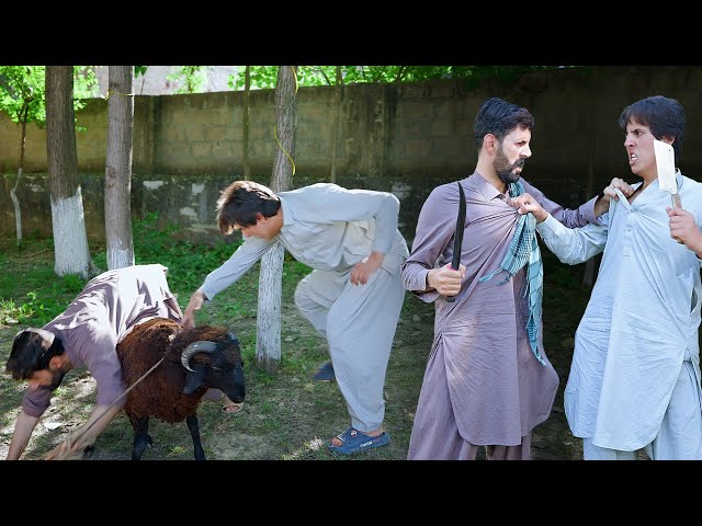 Qasae On Eid | Buner Vines 