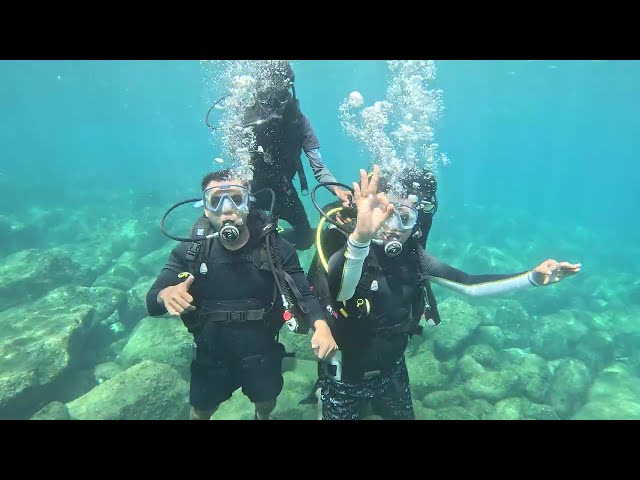 Scuba Diving @ Netrani Island
