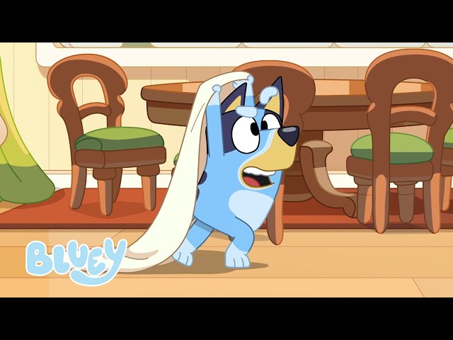 Paseos locos | Tareas domésticas | Bluey Español Canal Oficial