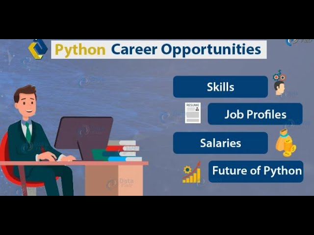 💼 Python Job Opportunities – Career Paths