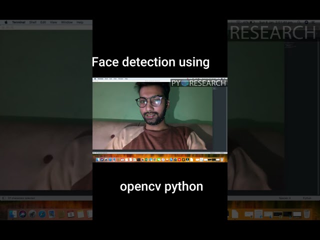 face detection using opencv python