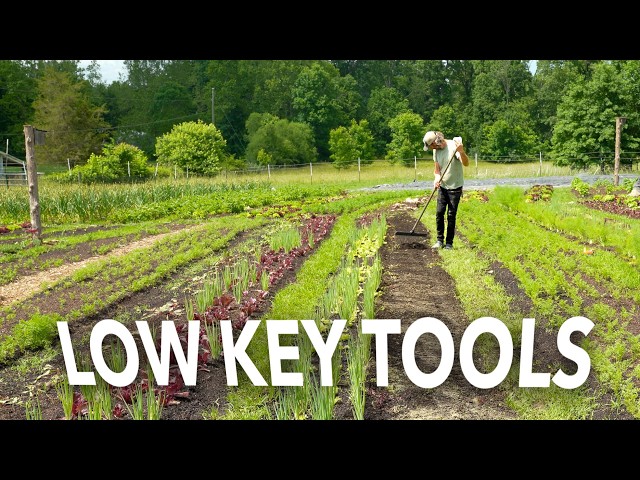 Low Key Farm Tools that Work Hard in the Market Garden