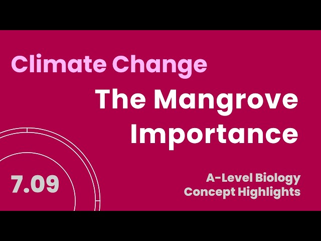 7.09 Impact of Climate Change on The Mangrove Ecosystem