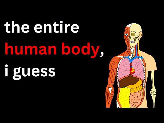 The Entire Human Body Explained in 20 Minutes, i guess