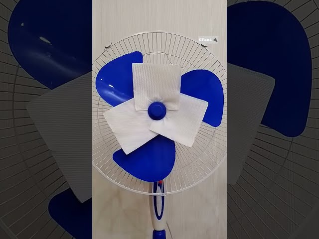 Different Fans - Videos Compilation (from July 2025 - February 2026) 